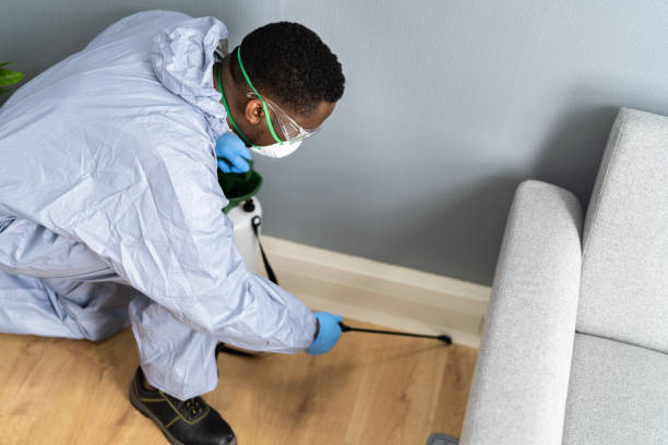 Professional Pest Control in Wilmette, IL